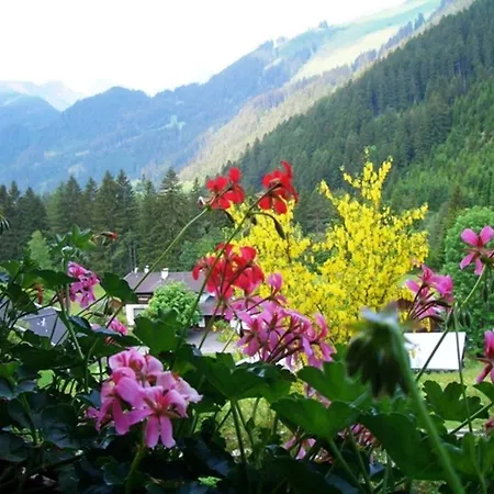 Haus Alpina Homestay