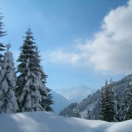 Haus Alpina Séjour chez l'habitant Häselgehr