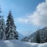 Haus Alpina Homestay Haeselgehr